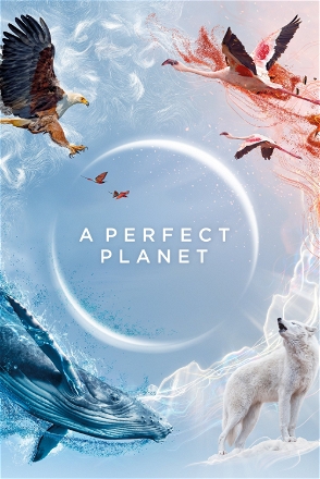 Perfect Planet