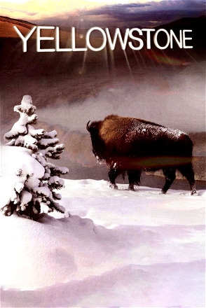 Life (2009)_0001