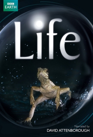 Life (2009)
